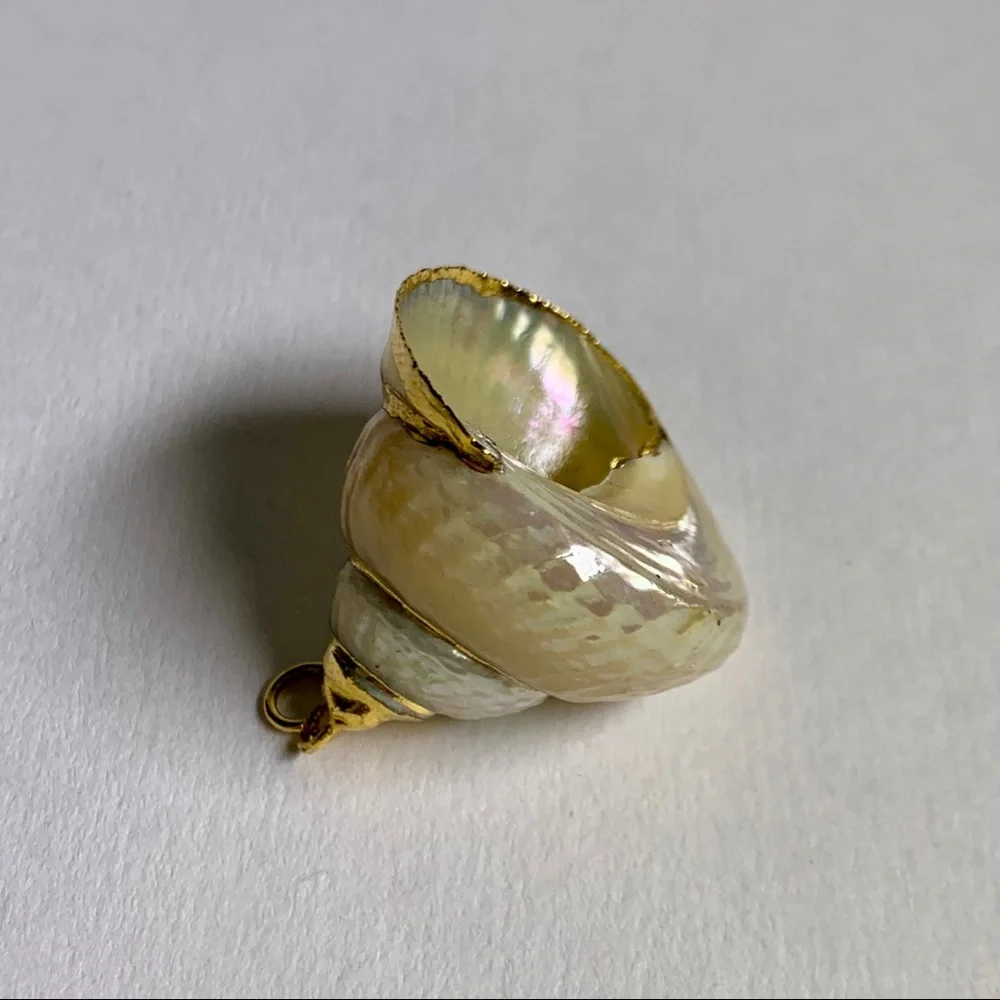 ⭐️Gold Plated Shell ⭐️ - Picture 6 of 8